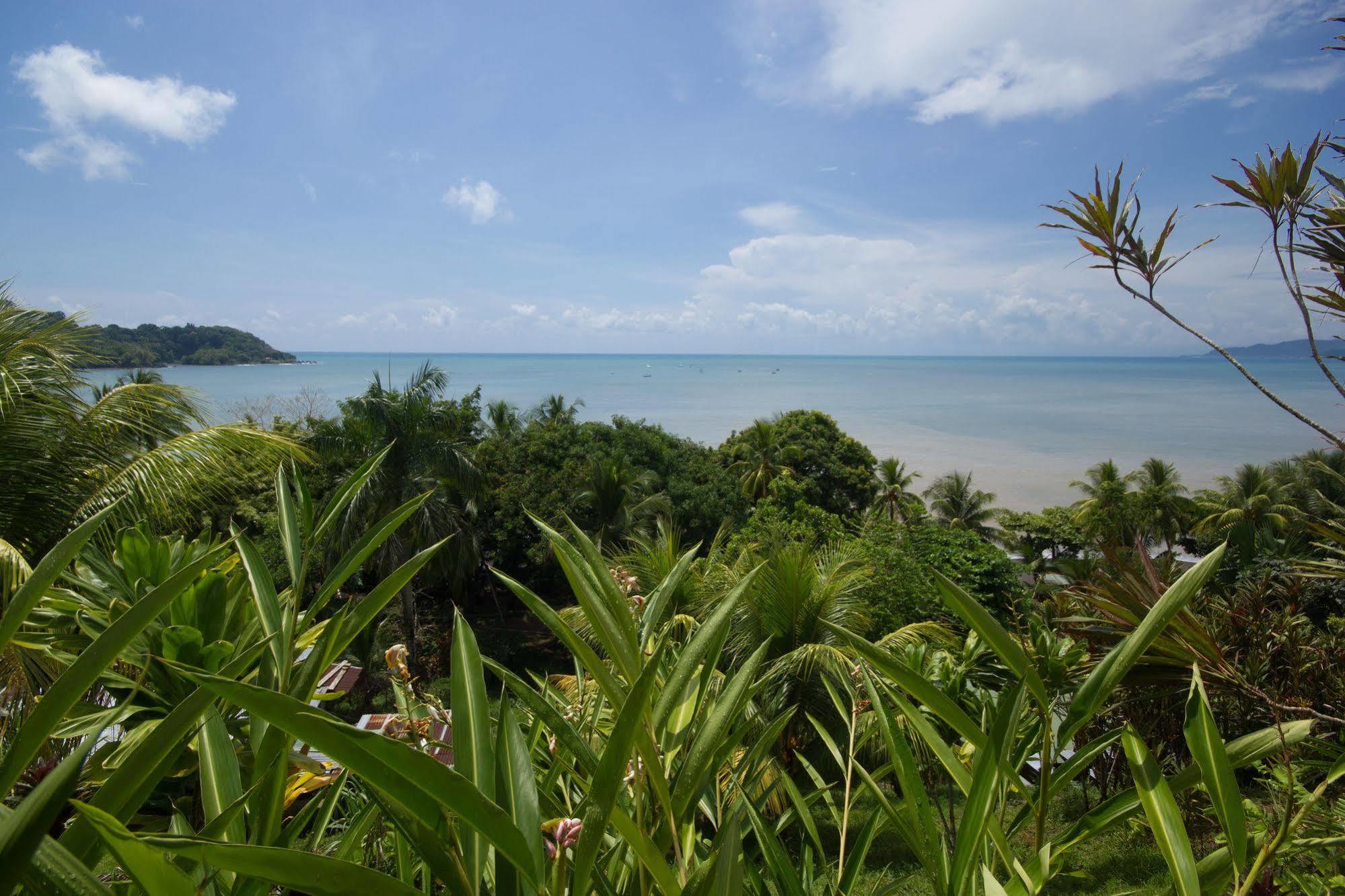 Hotel Rancho Corcovado Drakes Bay Εξωτερικό φωτογραφία